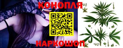 прущие грибы Мариинск