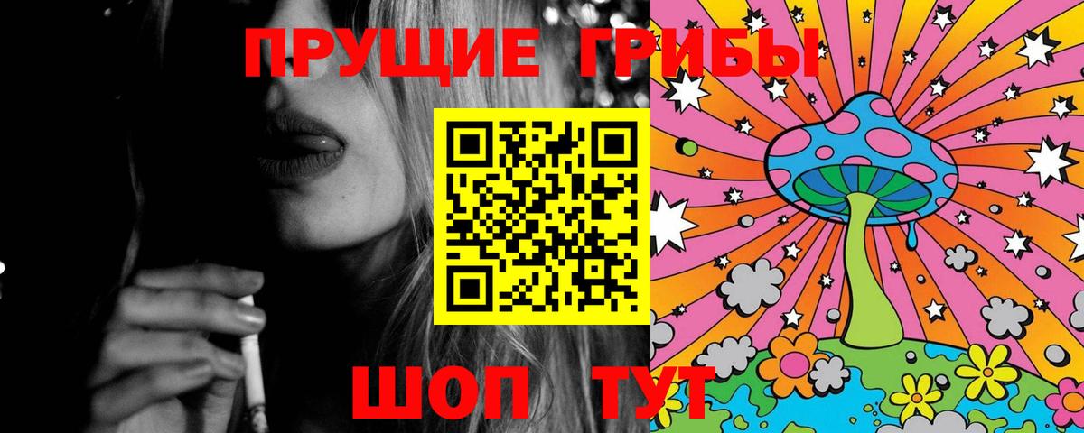 Галлюциногенные грибы Psilocybe  Вход с VPN  Вязники 